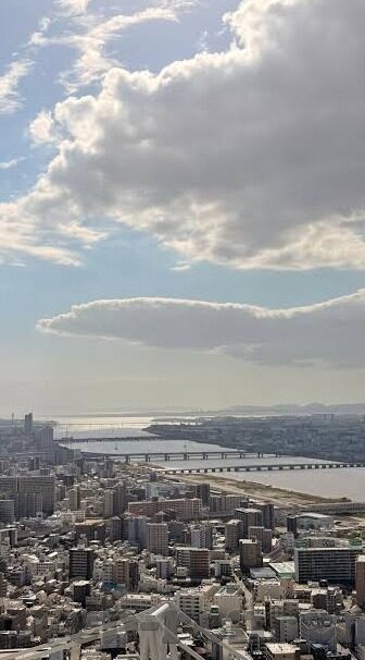 gogo足球比分-gogo足球比分，实时追踪赛场风云，开启智慧观赛新体验