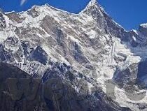 幸运果水果机-幸运果水果机，一场关于机遇与甜蜜的邂逅
